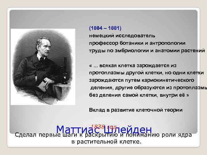 (1804 – 1881) немецкий исследователь профессор ботаники и антропологии труды по эмбриологии и анатомии