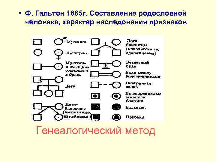 Изучение наследования признаков по родословной проект 10 класс