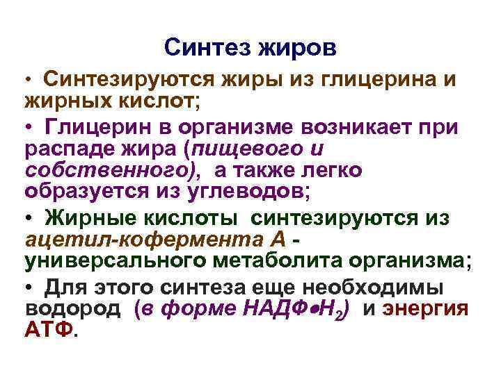 Синтез жиров • Синтезируются жиры из глицерина и жирных кислот; • Глицерин в организме