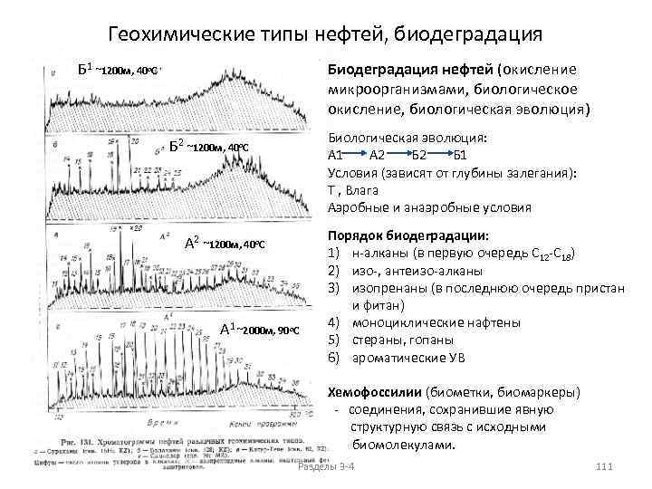Геохимические типы нефтей, биодеградация Б 1 ~1200 м, 40 о. С Биодеградация нефтей (окисление
