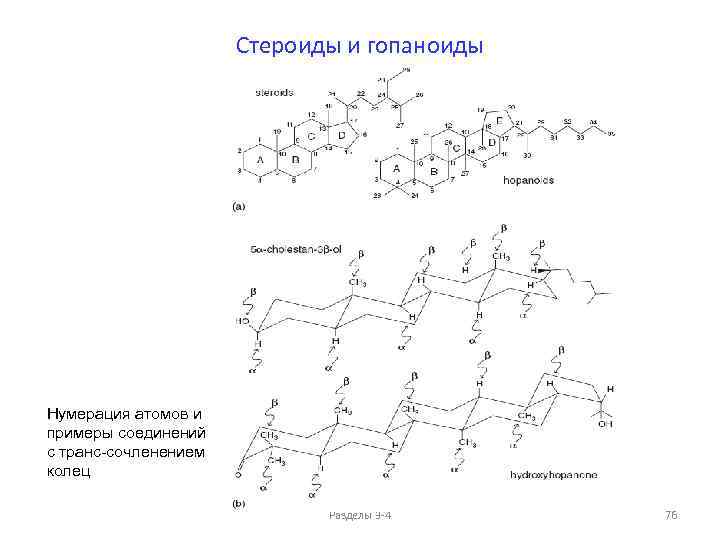 Стероиды и гопаноиды Нумерация атомов и примеры соединений с транс-сочленением колец Разделы 3 -4