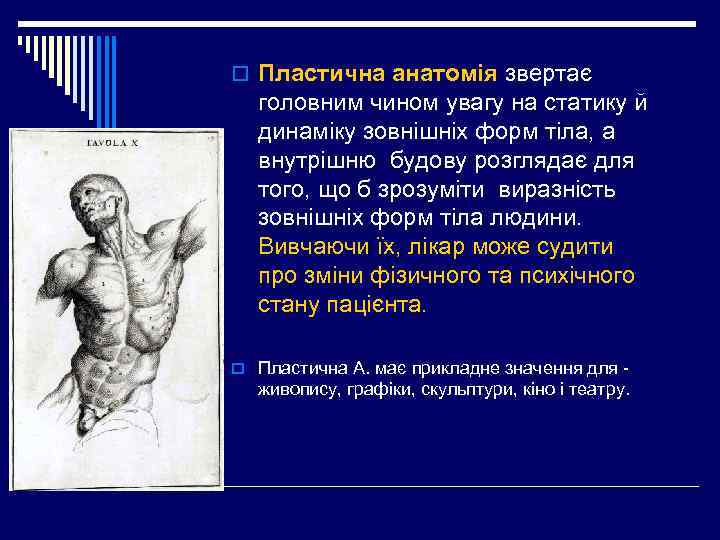 o Пластична анатомія звертає головним чином увагу на статику й динаміку зовнішніх форм тіла,