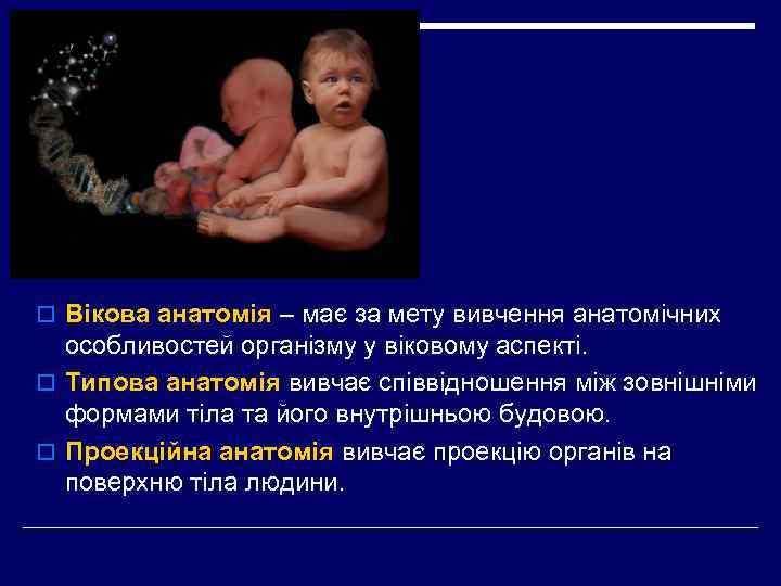 o Вікова анатомія – має за мету вивчення анатомічних особливостей організму у віковому аспекті.