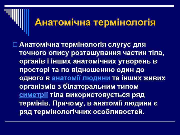 Анатомічна термінологія o Анатомічна термінологія слугує для точного опису розташування частин тіла, органів і