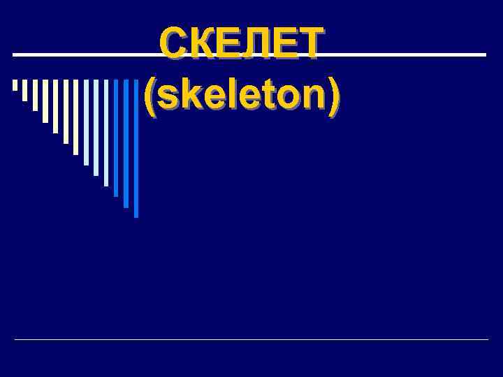 СКЕЛЕТ (skeleton) 