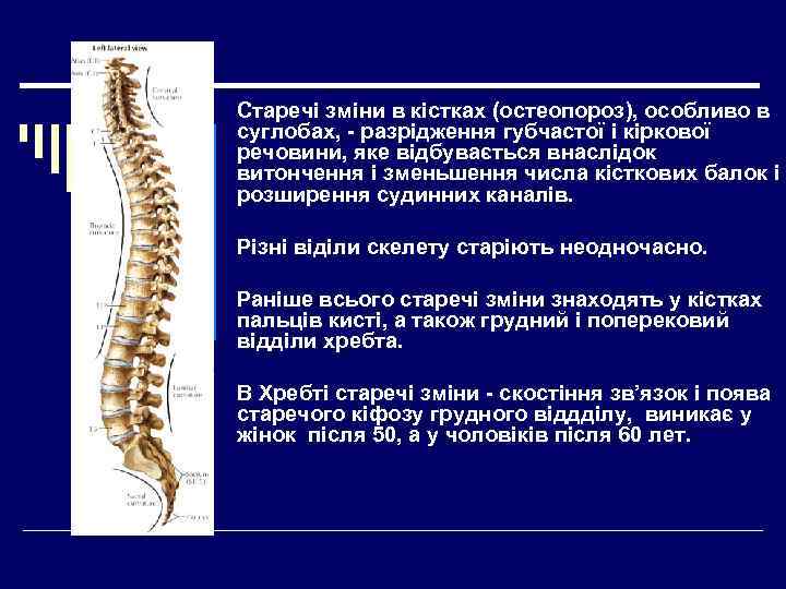 Старечі зміни в кістках (остеопороз), особливо в суглобах, - разрідження губчастої і кіркової речовини,