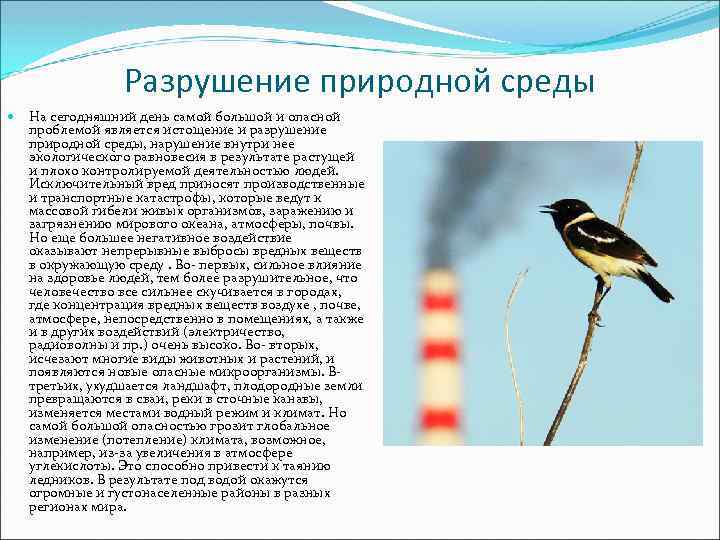 Разрушение природной среды На сегодняшний день самой большой и опасной проблемой является истощение и