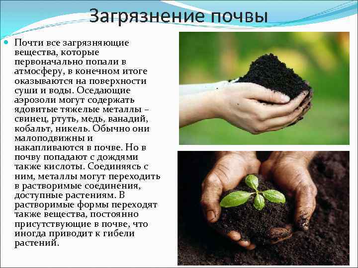 Загрязнение почвы Почти все загрязняющие вещества, которые первоначально попали в атмосферу, в конечном итоге