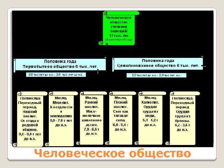 Человеческое общество 