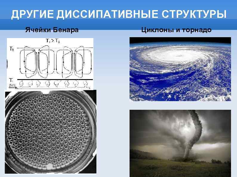 ДРУГИЕ ДИССИПАТИВНЫЕ СТРУКТУРЫ Ячейки Бенара Циклоны и торнадо 