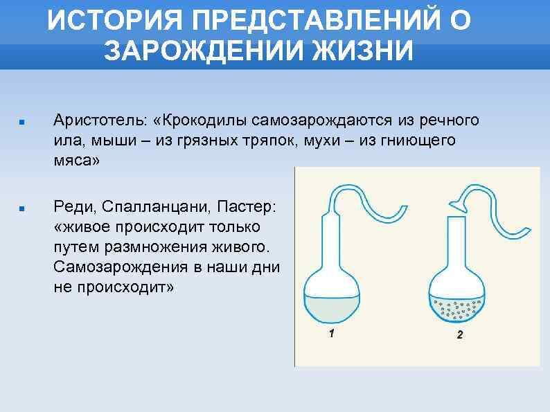 ИСТОРИЯ ПРЕДСТАВЛЕНИЙ О ЗАРОЖДЕНИИ ЖИЗНИ Аристотель: «Крокодилы самозарождаются из речного ила, мыши – из