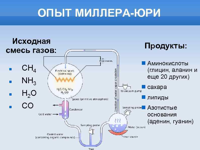 ОПЫТ МИЛЛЕРА-ЮРИ Исходная смесь газов: CH 4 NH 3 H 2 O CO Продукты: