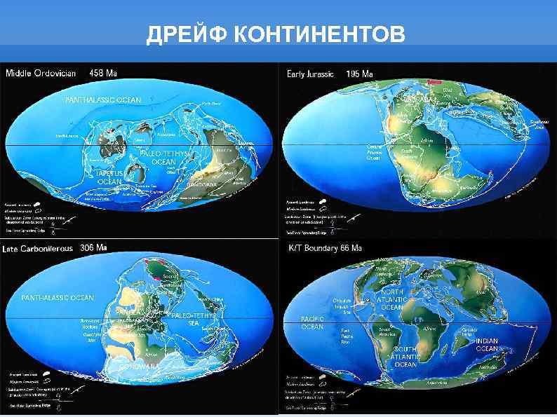 ДРЕЙФ КОНТИНЕНТОВ 