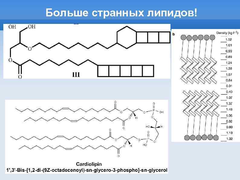 Полярное строение