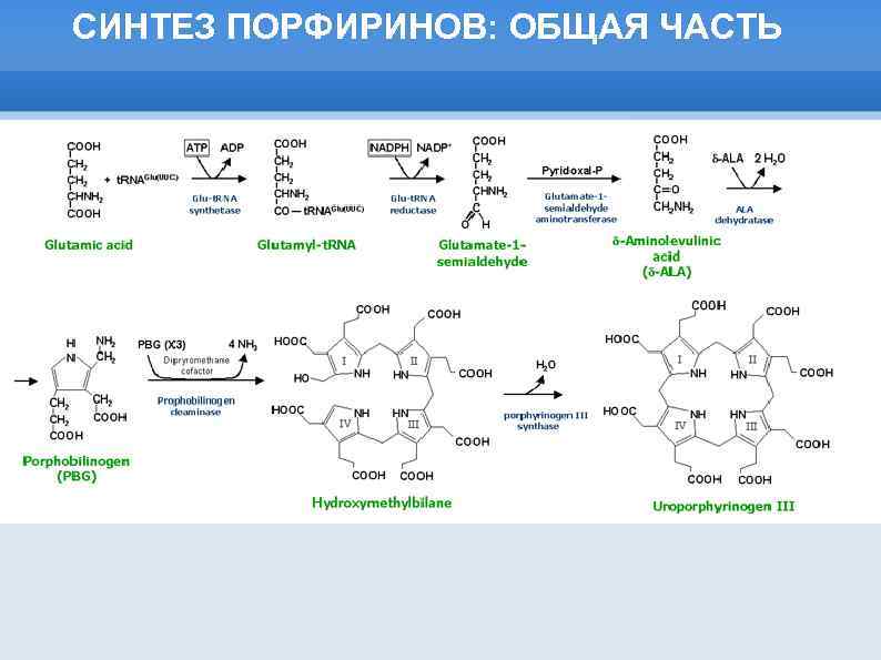 СИНТЕЗ ПОРФИРИНОВ: ОБЩАЯ ЧАСТЬ 