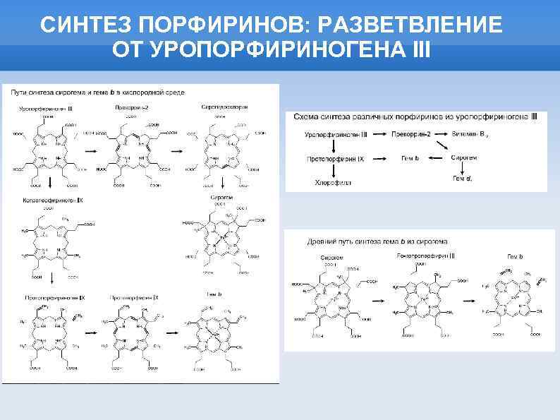 Полярное строение