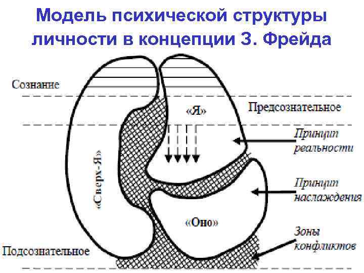 Топографическая схема психики по фрейду