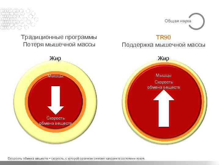 Общая наука Традиционные программы Потеря мышечной массы TR 90 Поддержка мышечной массы Жир Мышцы