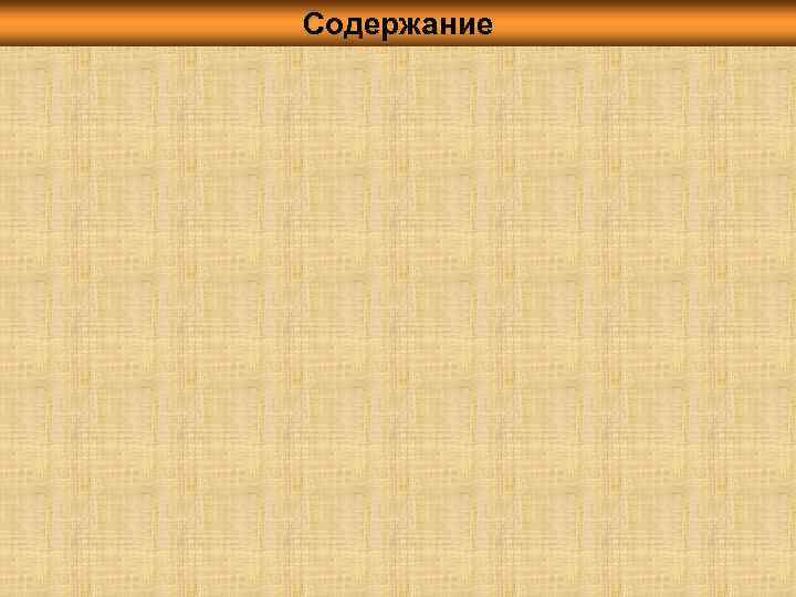 Содержание 