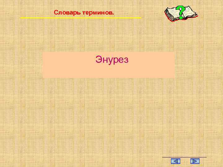 Словарь терминов. Энурез 