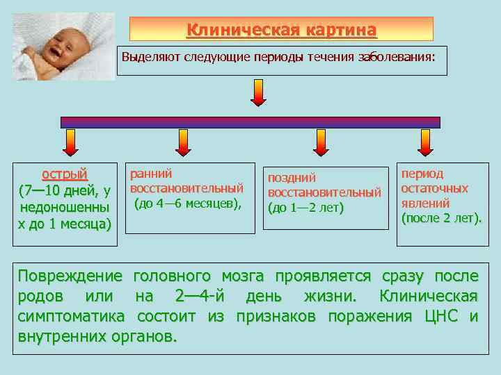 Клиническая картина Выделяют следующие периоды течения заболевания: острый (7— 10 дней, у недоношенны х