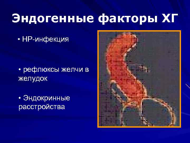 Эндогенные факторы ХГ • HP-инфекция • рефлюксы желчи в желудок • Эндокринные расстройства 