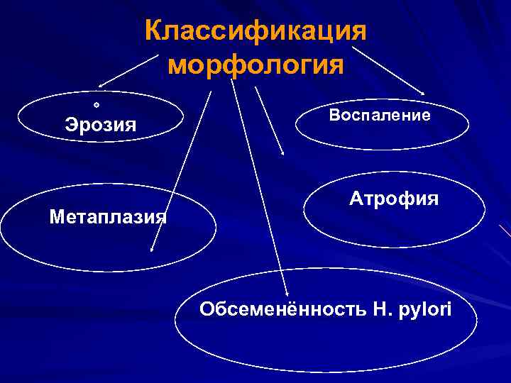 Классификация морфология Эрозия Метаплазия Воспаление Атрофия Обсеменённость H. pylori 