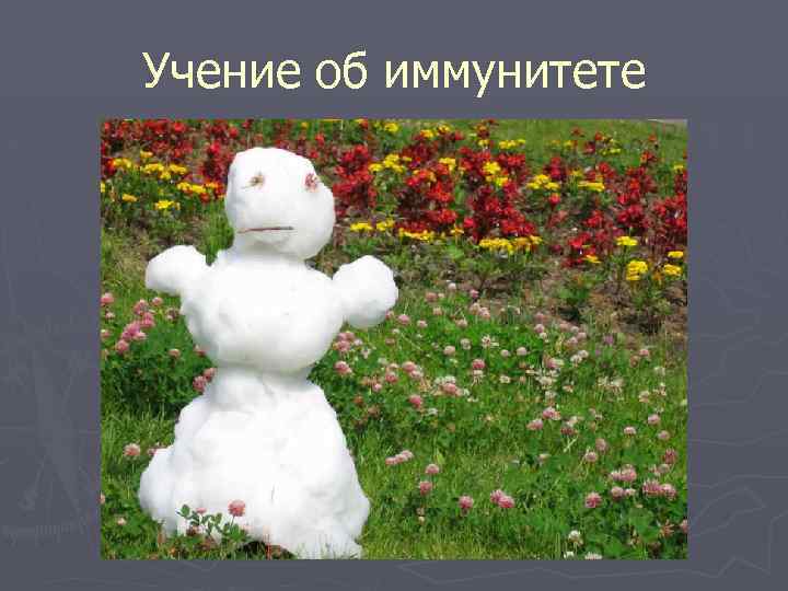 Учение об иммунитете 