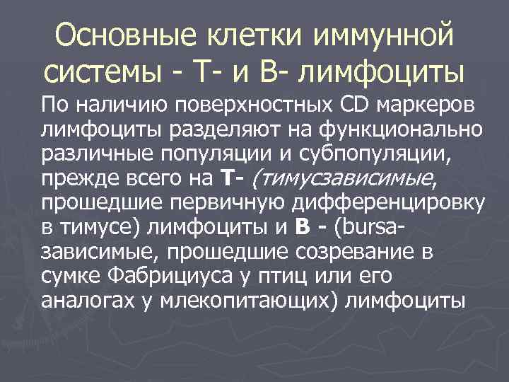 Основные клетки иммунной системы - Т- и В- лимфоциты По наличию поверхностных CD маркеров