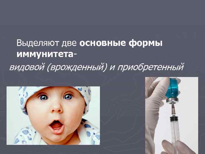 Выделяют две основные формы иммунитета- видовой (врожденный) и приобретенный 