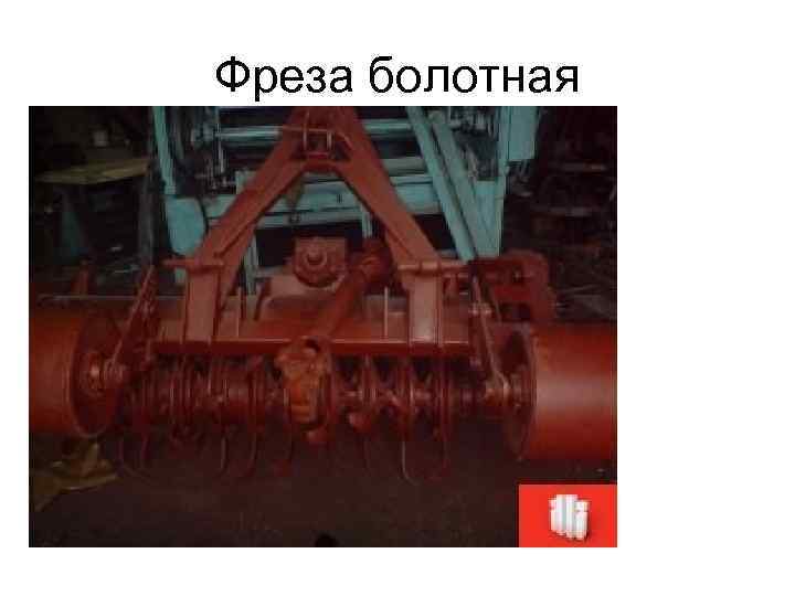 Фреза болотная 