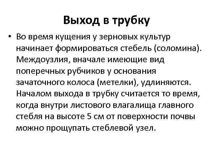 Выход в трубку • Во время кущения у зерновых культур начинает формироваться стебель (соломина).