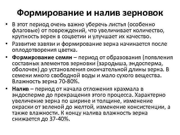 Формирование и налив зерновок • В этот период очень важно уберечь листья (особенно флаговые)