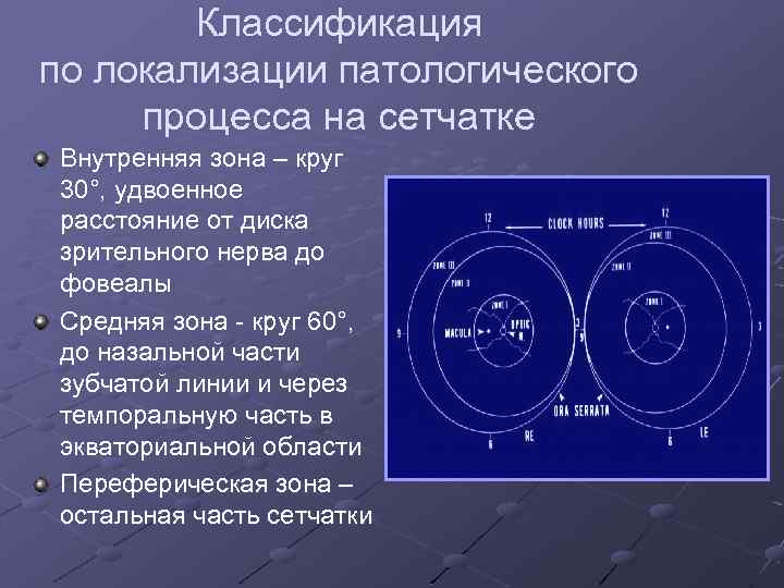 Классификация по локализации патологического процесса на сетчатке Внутренняя зона – круг 30°, удвоенное расстояние