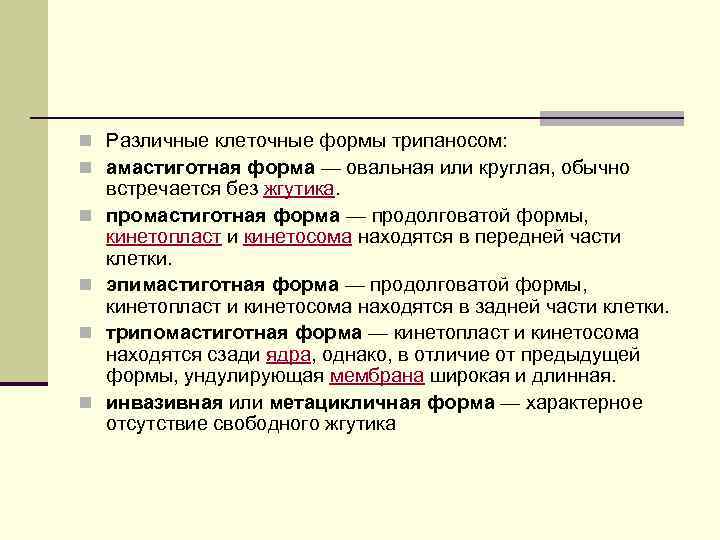 n Различные клеточные формы трипаносом: n амастиготная форма — овальная или круглая, обычно n