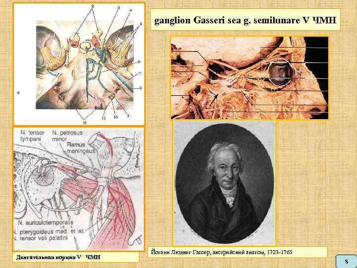 ganglion Gasseri sea g. semilunare V ЧМН Двигательная порция V ЧМН Йоганн Людвиг Гассер,