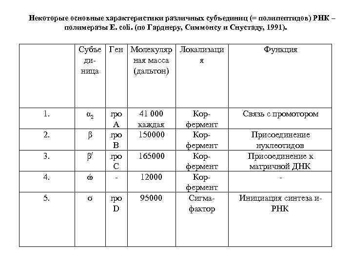 Некоторые основные характеристики различных субъединиц (= полипептидов) РНК – полимеразы E. coli. (по Гарднеру,