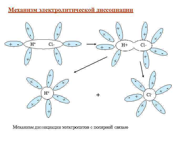 - + + - + - - + + - Механизм диссоциации электролитов с