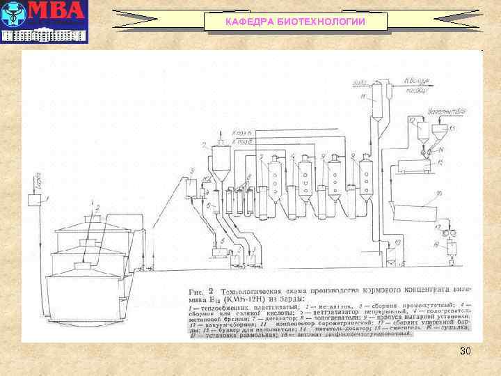 КАФЕДРА БИОТЕХНОЛОГИИ 30 