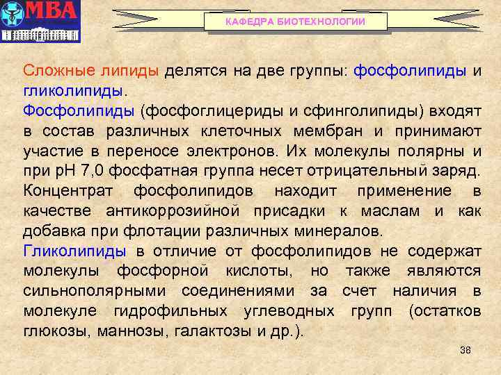 КАФЕДРА БИОТЕХНОЛОГИИ Сложные липиды делятся на две группы: фосфолипиды и гликолипиды. Фосфолипиды (фосфоглицериды и