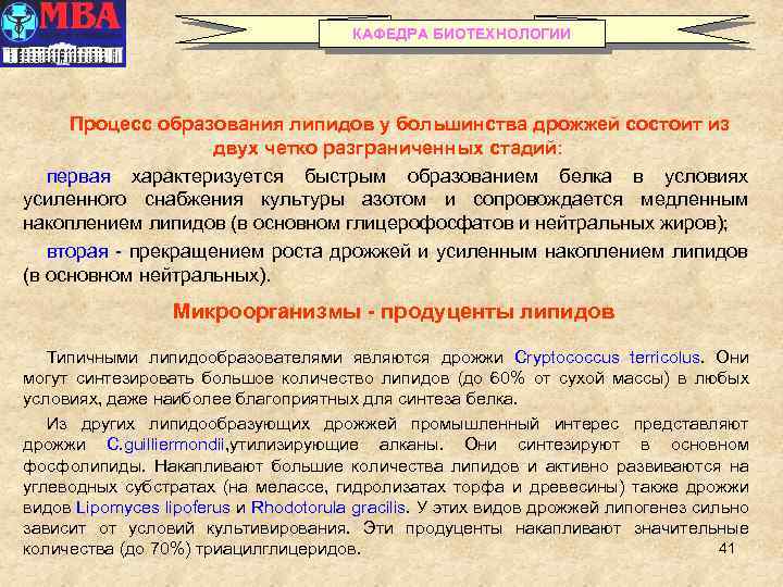 КАФЕДРА БИОТЕХНОЛОГИИ Процесс образования липидов у большинства дрожжей состоит из двух четко разграниченных стадий: