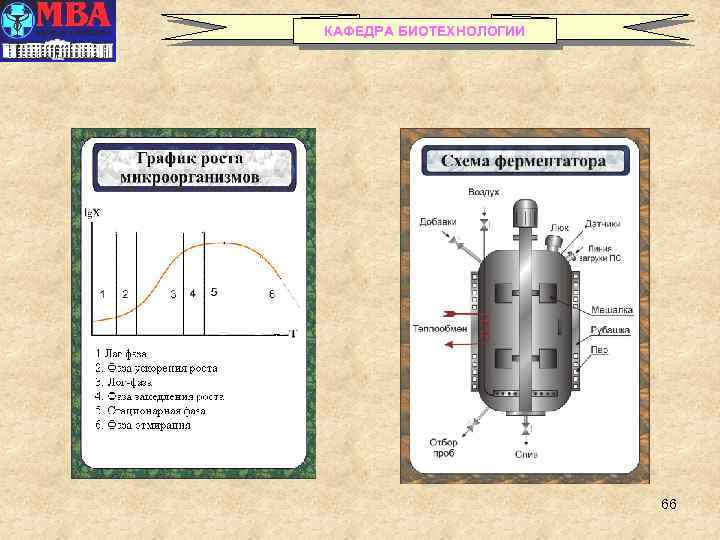 КАФЕДРА БИОТЕХНОЛОГИИ 66 
