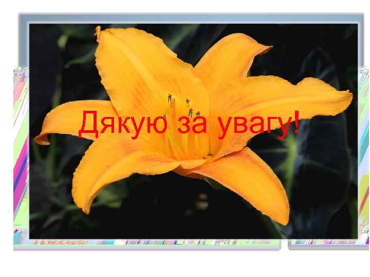 Дякую за увагу! 