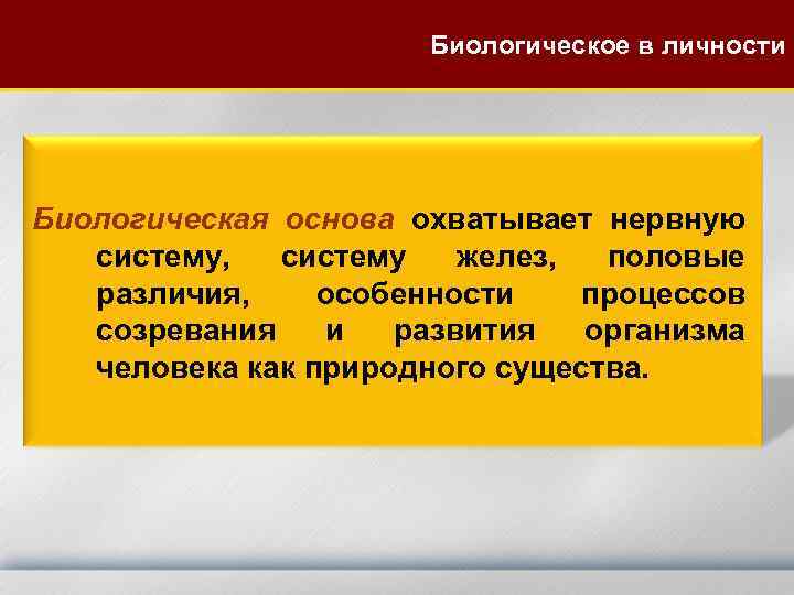  Биологическое в личности Биологическая основа охватывает нервную систему, систему желез, половые различия, особенности