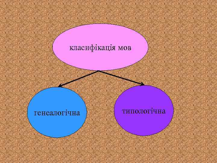 класифікація мов генеалогічна типологічна 