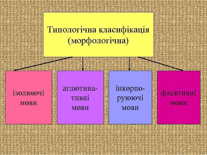 Типологічна класифікація (морфологічна) ізолюючі мови аглютинативні мови інкорпоруюючі мови флективні мови 