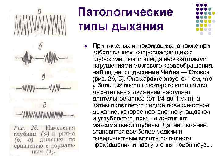 Назовите типы дыхания. Патологические типы дыхания Грокка. Патологические типы дыхания Биота. Патологические типы дыхания при агонии. Патологические типы дыхания у человека.