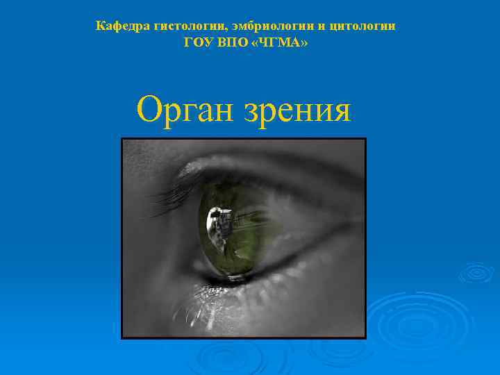 Кафедра гистологии, эмбриологии и цитологии ГОУ ВПО «ЧГМА» Орган зрения 