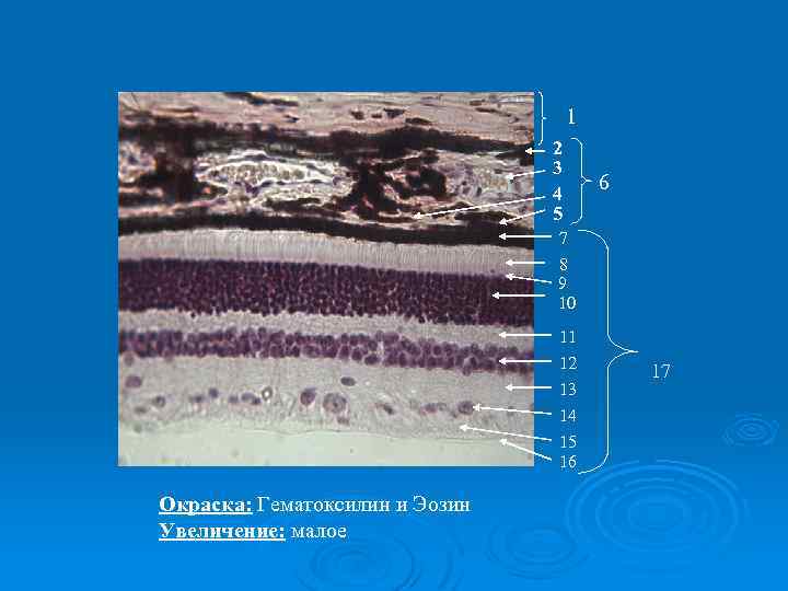 1 2 3 4 5 6 7 8 9 10 11 12 13 14