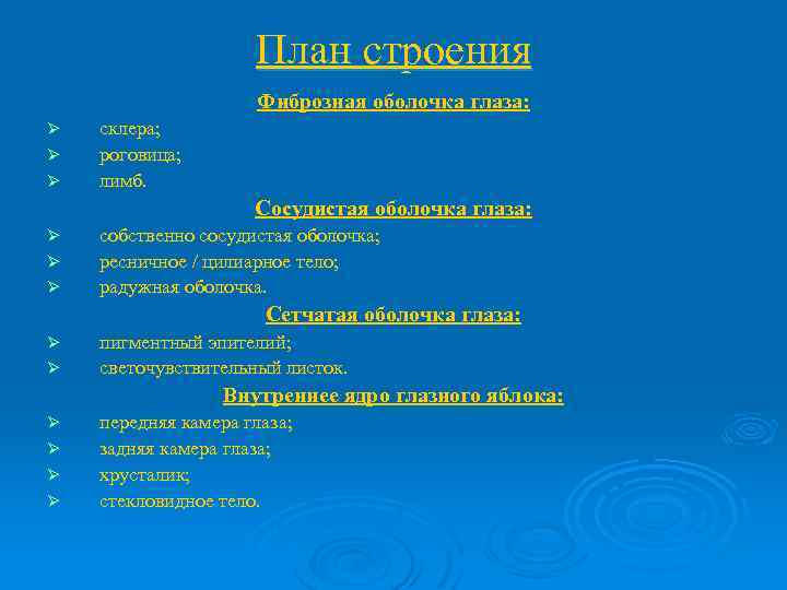 План строения Фиброзная оболочка глаза: Ø Ø Ø склера; роговица; лимб. Сосудистая оболочка глаза: